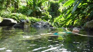 séance-aquazen-aquayoga-woga-savasana-guadeloupe-july-toujan